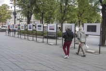 M. Patašiaus fotografijų paroda Laisvės alėjoje