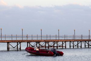 Raudonojoje jūroje nuskendus laivui, atrasti keturi kūnai, tarp dingusiųjų – du lenkai