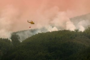 Ispanijos premjeras tikisi, kad gaisras Tenerifėje stabilizuosis artimiausiu metu