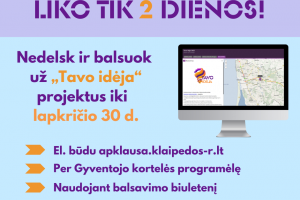 „Tavo idėja“: liko tik dvi dienos išrinkti geriausius sumanymus!