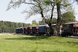 Nestabdykime Girulių draustinio steigimo