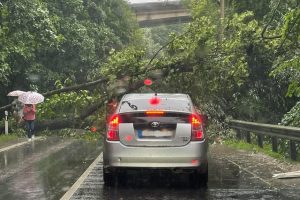 Stiprus vėjas varto medžius, apgadino automobilius ir dvarą, lietaus – pusė liepos normos