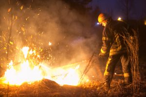 Miškuose fiksuojamas išaugęs gaisringumas, didžiausias pavojus – Druskininkų regione