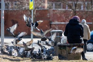 Įtrauktieji į pensijų kaupimą turi dar penkis mėnesius apsispręsti: ką svarbu žinoti?