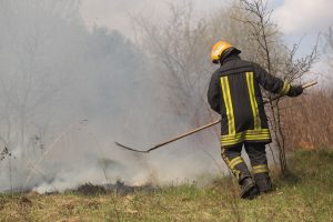 Priešgaisrinės priežiūros pareigūnai vykdys sustiprintą prevenciją dėl žolės deginimo