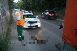 Kelyje Pagiriai–Baltoji Vokė partrenkta į važiuojamąją dalį išbėgusi stirna