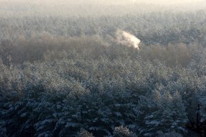 Miškų savininkai kitą savaitę protestuos dėl veiklos apsunkinimų saugomose vietose