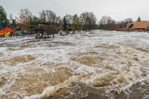 Aplinkos ministerija: prisitaikymui prie klimato kaitos skirta beveik 100 mln. eurų