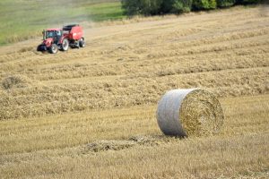 ŽŪM: ūkininkai paraiškas paramai gauti galės teikti supaprastinta tvarka