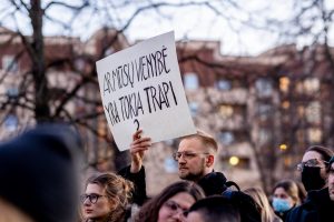 Seimas ėmėsi susirinkimų tvarkos: skundus dėl mitingų siūloma išnagrinėti iki jų datos