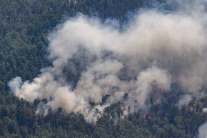 Čekijos nacionaliniame parke su liepsnomis kovoja 900 ugniagesių