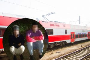 Aiškėja daugiau faktų apie nelegalių migrantų kelionę traukiniu: bilietus nupirko nežinoma moteris