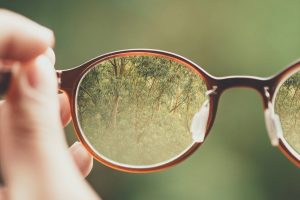 Akinių tendencijos saulėtam rudeniui