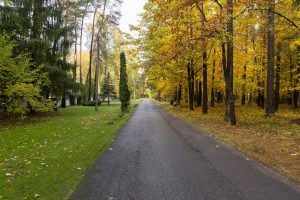 Vilniuje Ežerėlių gatvė bus pervadinta buvusio disidento A. Terlecko vardu