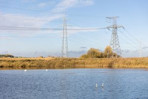 Elektrėnų mariose nuskendo vyras: draugams nepavyko jo išgelbėti