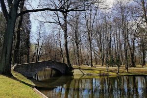 Einant pro parką – smūgiai