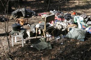 Per specialią platformą nuo rugsėjo pradžios sulaukta 100 pranešimų apie užterštas vietas