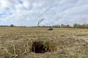 Kuliant kukurūzus aptikta nauja smegduobė: šiemet tai viena didžiausių rastų įgriuvų