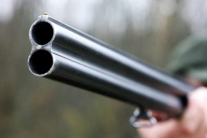 Ignalinos rajone rasti du neregistruoti ginklai
