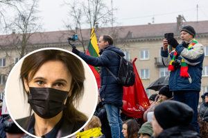 V. Čmilytė-Nielsen įvertino protestuotojus: gėda prieš žuvusių artimuosius ir prieš laisvės gynėjus