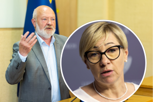 Įvertino skandalą dėl ministrės: šiandien Šiugždinienė, greitai atsiras kiti