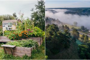 Laisvalaikio maršrutai: ką pamatyti Kaune ir pakaunėje?