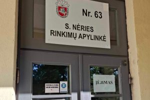 Nebeliks S. Nėries apylinkės