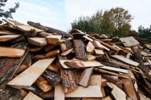Lietuviška mediena – ne visiems?