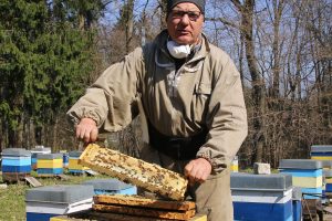 Bitininkas A. Amšiejus: jei stipriai neatšals, toks pavasaris – bitėms rojus