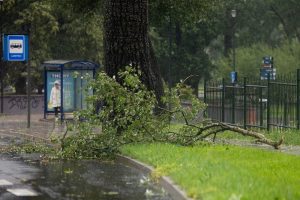 Dėl Lietuvą siaubiančios audros numatomi Vilniaus viešojo transporto vėlavimai