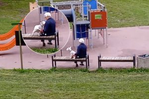Plinta šiurpą keliantis vaizdo įrašas: į galimos zoofilės paieškas įsitraukė policija