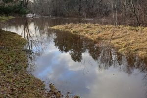 Mistika: Šventojoje – mistinis žuvų kritimas