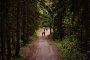 Gražutės regioniniame parke atidaromas 11 kilometrų pėsčiųjų takas