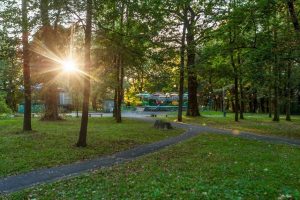 Kauno Vytauto parko paviljone įsikurs menų mokyklos padalinys