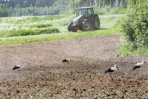 Žemės grąžinimo procese Seimas linkęs dar šiais metais padėti tašką