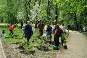 Kretingoje pasodino 770 naujų medžių ir žydinčių krūmų