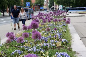 Orai pajūryje: sinoptikų prognozės džiugina