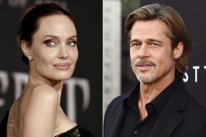 B. Pittas kaltina A. Jolie pardavus savo vynuogyno dalį Rusijos oligarchui
