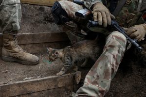 Kyjivas iš Rusijos pajėgų atkovojo 37 kvadratinius kilometrus Ukrainos teritorijos
