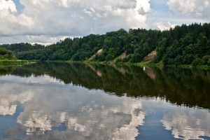 Nemune naikinamos kraujasiurbių upinių mašalų lervos