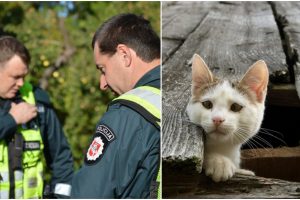 Kuriozinė situacija su katinu: pareigūnai nuramino senjorės nerimą dėl anūkių saugumo