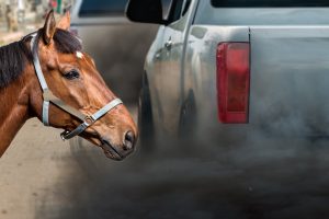 Vairuotojai apie automobilių taršos mokestį: greičiausiai vėl grįšime prie arklių
