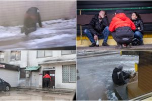 Alaus baro kaimynystė gąsdina: ko tik čia neprisižiūrime – keikiasi, voliojasi, šlapinasi