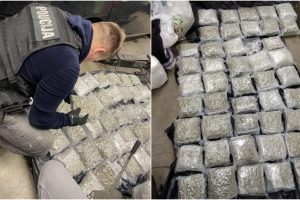 Kauno policijai įkliuvo amerikietis ir rusė: abu bus teisiami dėl 24 kg kanapių