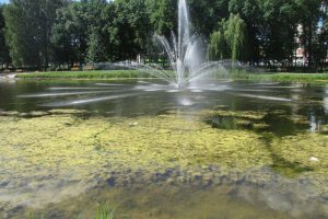 Kalniečių parko tvenkinys liko be fontano: ieškoma sprendimų vėl paleisti vandens purslus
