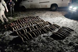 Sučiuptas Nemune žuvis gaudęs brakonierius: kad atlygintų žalą, teks parduoti namus?