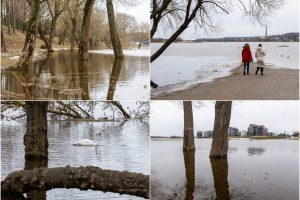 Pavasario ženklai: Santakos parke po vandeniu atsidūrė dalis pėsčiųjų takų