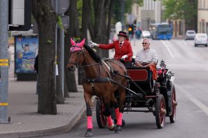 Susidomėjimas karietomis išblėso