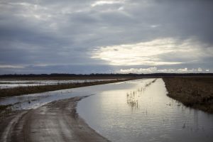 B. Markauskas: Minijos vanduo bėga per pylimą Priekulėje, svarstoma jį aukštinti