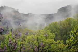 Apalačai pasiekė giliausią dugną nuo Didžiosios depresijos laikų